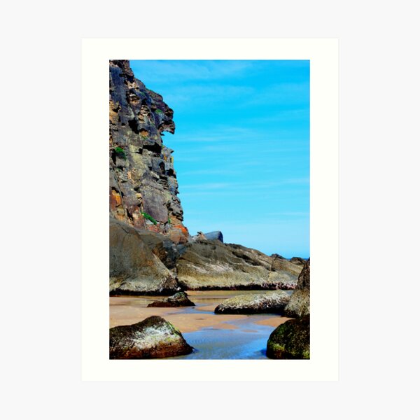 Eagle Face - Redhead Beach NSW Art Print