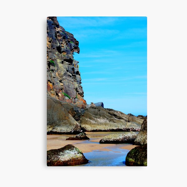 Eagle Face - Redhead Beach NSW Canvas Print