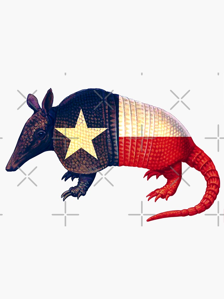 Texas Armadillo 