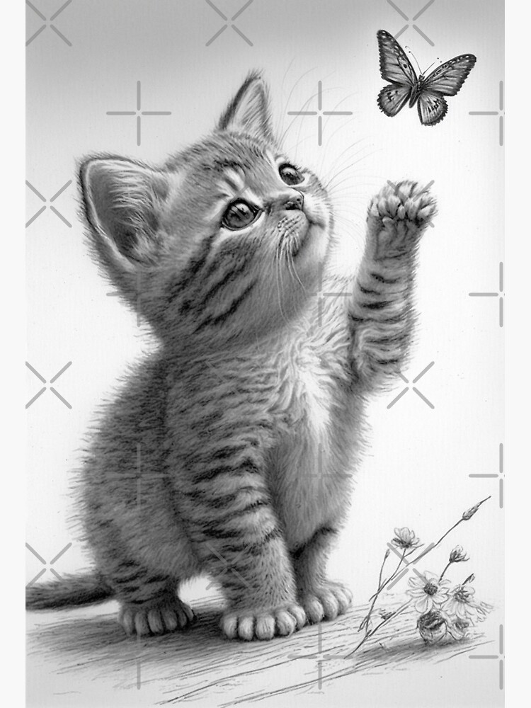 Cat And Butterfly Pencil Art - Deepa paintings - Drawings & Illustration,  Animals, Birds, & Fish, Cats & Kittens, Other Cats & Kittens - ArtPal