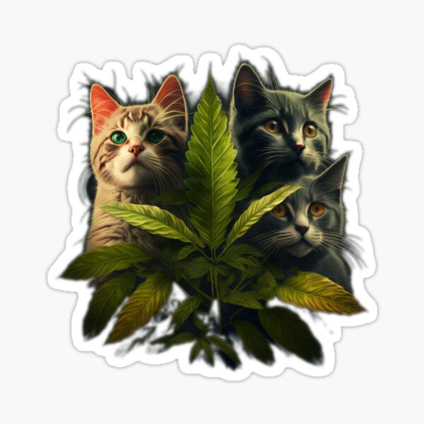 Cannabis Cats Holographic Sticker sheet (Limited Edition) — StudioViki