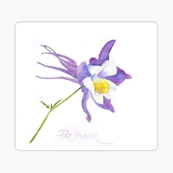 Springtime Columbine Sticker