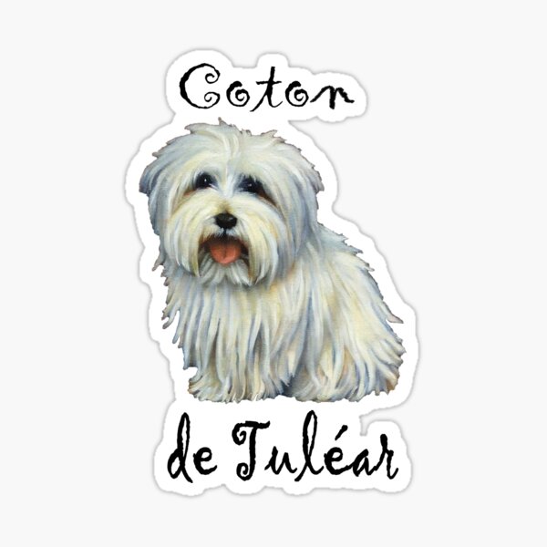 Coton de tulear sales gifts