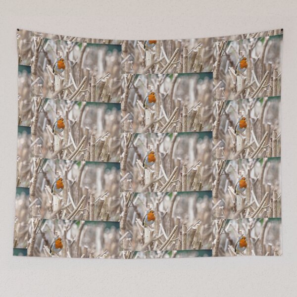 Item preview, Robin sings. designed and sold by George Kelsey.