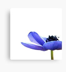 Blue Tutu Canvas Print
