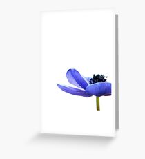 Blue Tutu Greeting Card