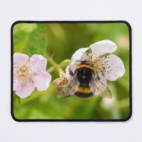 Item preview, Bumblebee On Bramble Flowers designed and sold by Tanya C  Smith.