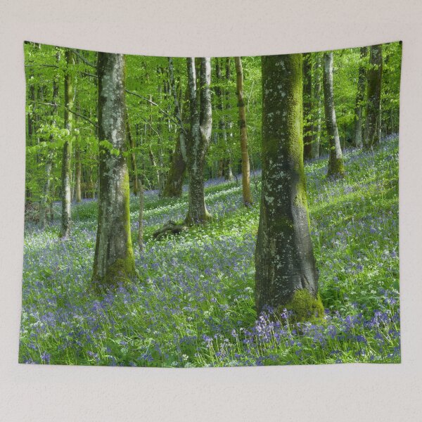 Item preview, Wild Garlic & Bluebell Woodland designed and sold by Craig Joiner.