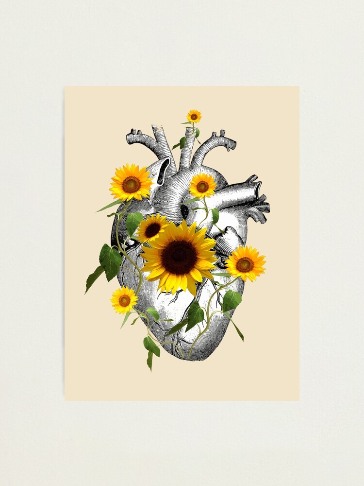 Lámina fotográfica «Flor de corazón de primavera, girasoles de corazón» de  Collagedream | Redbubble