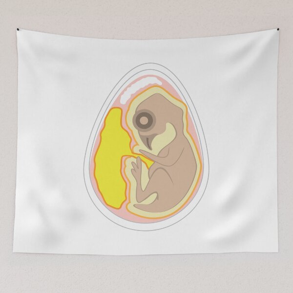 Item preview, Bird Embryo designed and sold by vectorworks51.