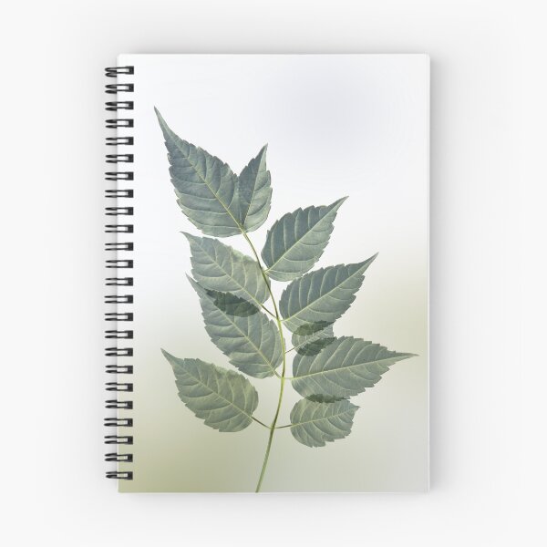 Item preview, Twig designed and sold by iago rodriguez dopico.