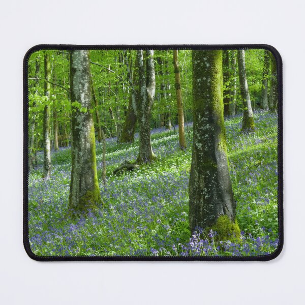 Item preview, Wild Garlic & Bluebell Woodland designed and sold by Craig Joiner.