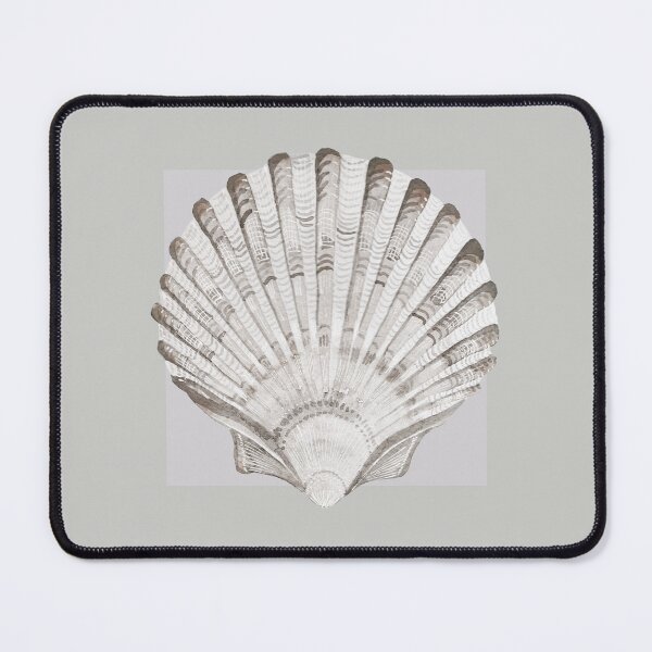 Item preview, Scallop sea shell in pearl grey designed and sold by LisaLeQuelenec.