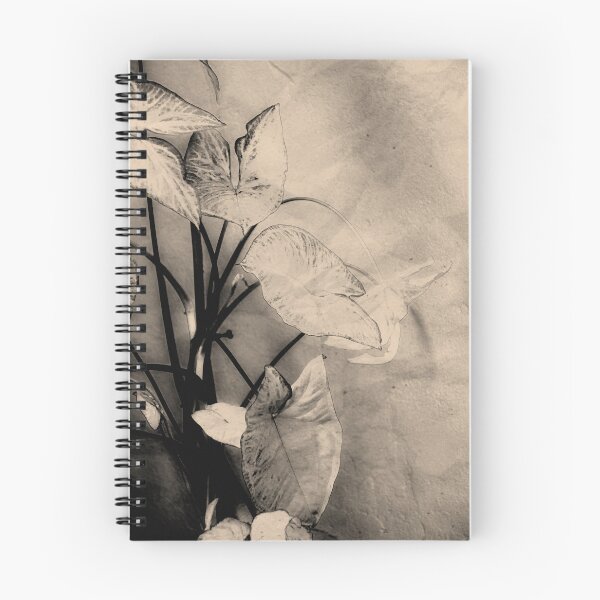 Item preview, Syngonium designed and sold by Aleksandar Mandic.