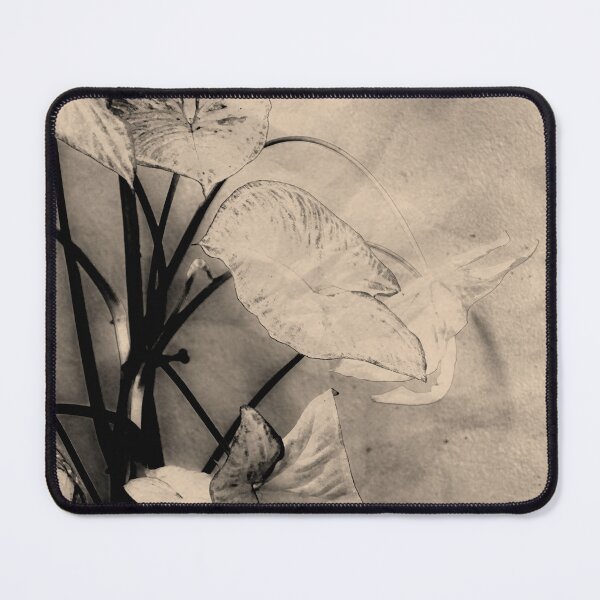 Item preview, Syngonium designed and sold by Aleksandar Mandic.