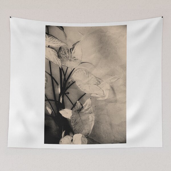 Item preview, Syngonium designed and sold by Aleksandar Mandic.