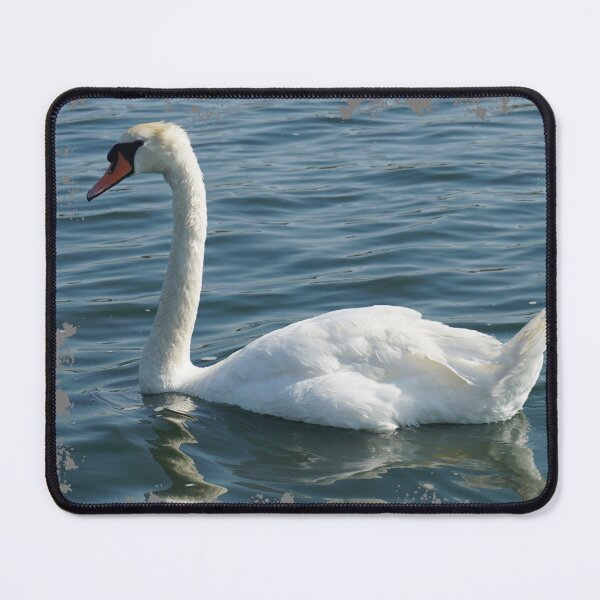 Item preview, Swan designed and sold by Nicole Gath.