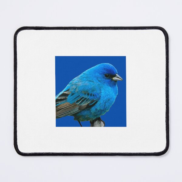 Item preview, bird with blue background  designed and sold by talkkaboss11.
