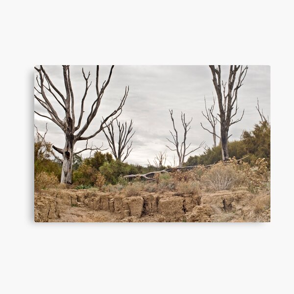 Wilderness Metal Print