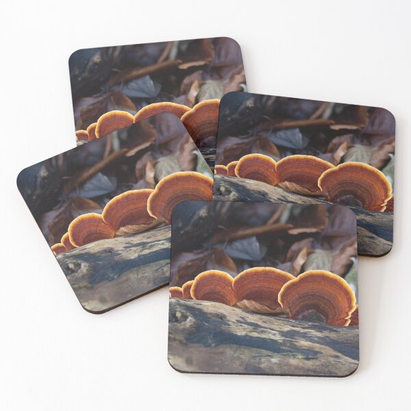 Item preview, Turkeytail Fungus on Decaying Tree designed and sold by Sue Robinson.