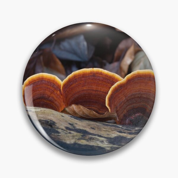 Item preview, Turkeytail Fungus on Decaying Tree designed and sold by Sue Robinson.