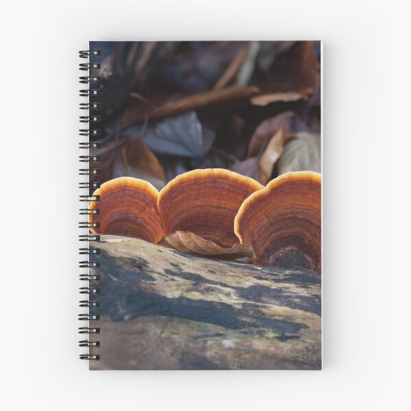 Item preview, Turkeytail Fungus on Decaying Tree designed and sold by Sue Robinson.