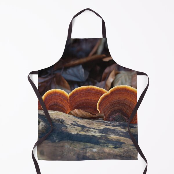 Item preview, Turkeytail Fungus on Decaying Tree designed and sold by Sue Robinson.