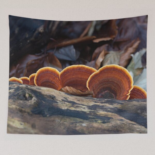 Item preview, Turkeytail Fungus on Decaying Tree designed and sold by Sue Robinson.