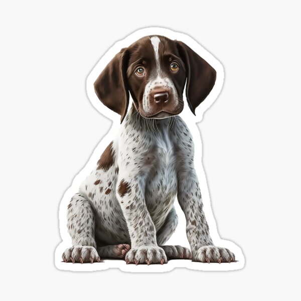 Cartoon german hot sale shorthaired pointer