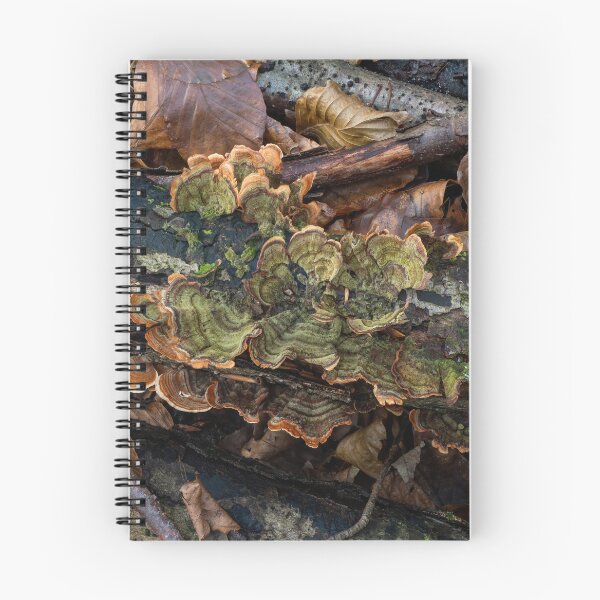 Item preview, Turkeytail Fungus Green Colour on Decaying Branch designed and sold by Sue Robinson.