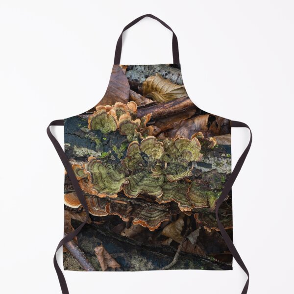 Item preview, Turkeytail Fungus Green Colour on Decaying Branch designed and sold by Sue Robinson.