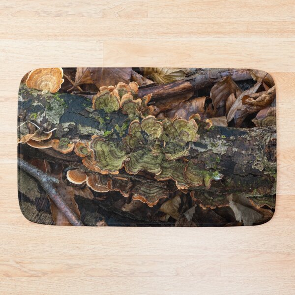 Item preview, Turkeytail Fungus Green Colour on Decaying Branch designed and sold by Sue Robinson.