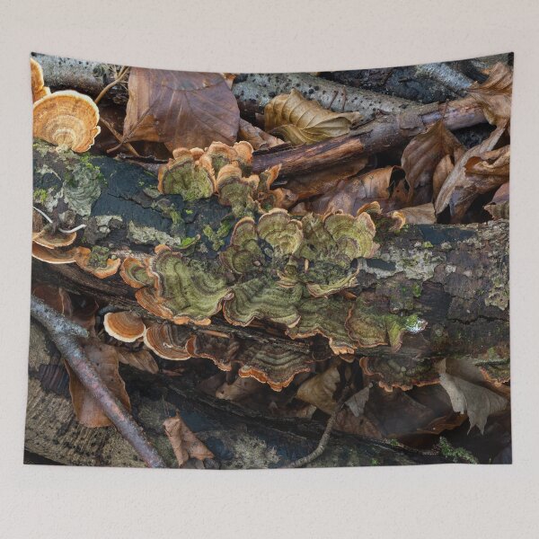 Item preview, Turkeytail Fungus Green Colour on Decaying Branch designed and sold by Sue Robinson.