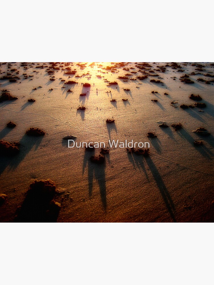 Shadows & Gold III by DuncanW