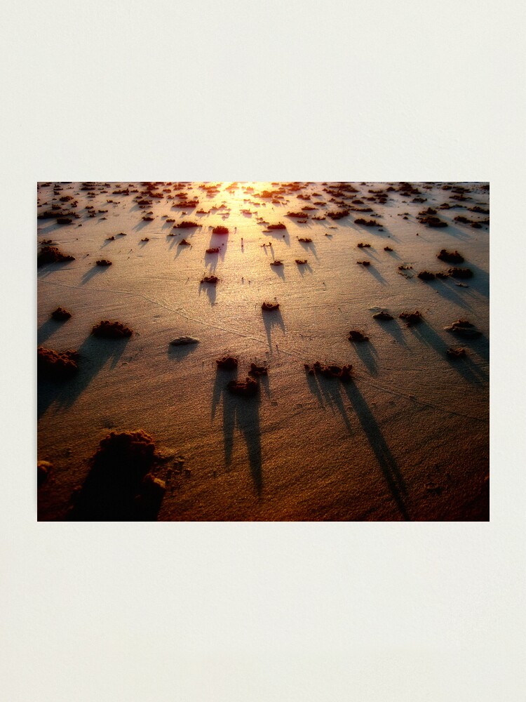 Alternate view of Shadows & Gold III Photographic Print