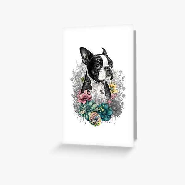 dibujo de cara de boston terrier