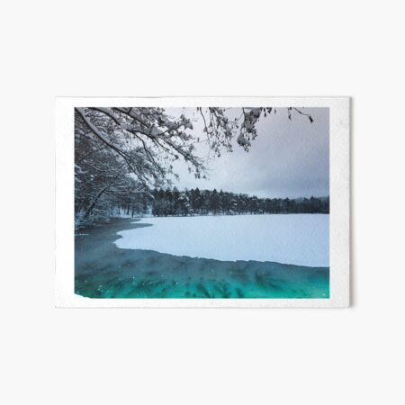 Winter Lake - A magical lake in the Palatinate Forest Art Board Print