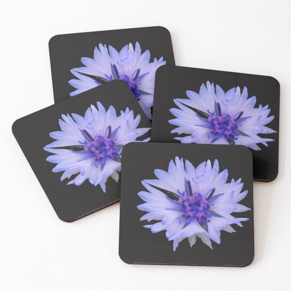 Item preview, Cornflower designed and sold by Nicole Gath.