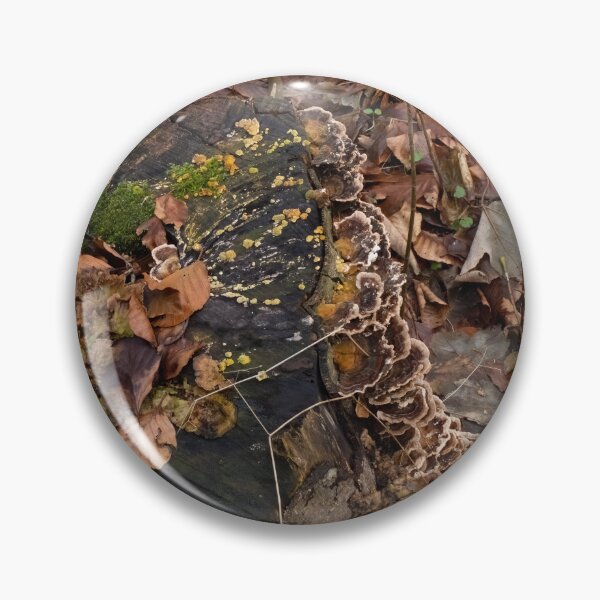 Item preview, Fungi, Moss and Mould on tree stump. designed and sold by Sue Robinson.