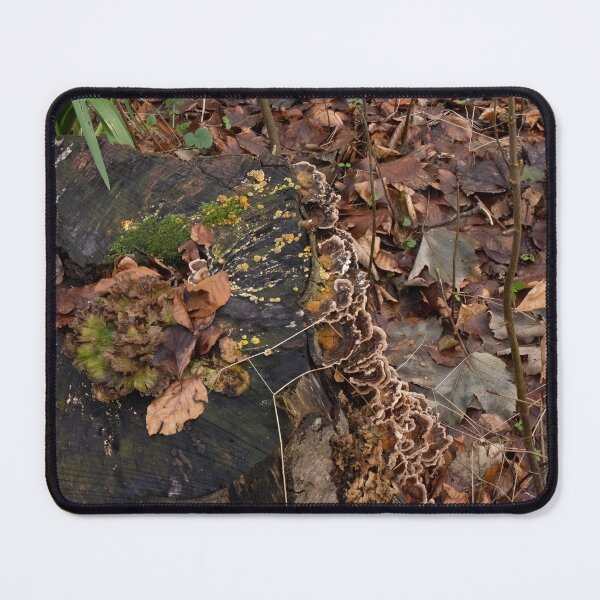 Item preview, Fungi, Moss and Mould on tree stump. designed and sold by Sue Robinson.