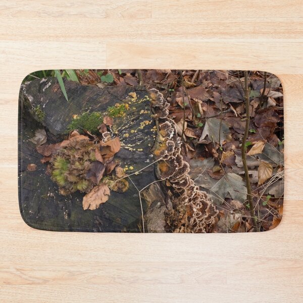 Item preview, Fungi, Moss and Mould on tree stump. designed and sold by Sue Robinson.