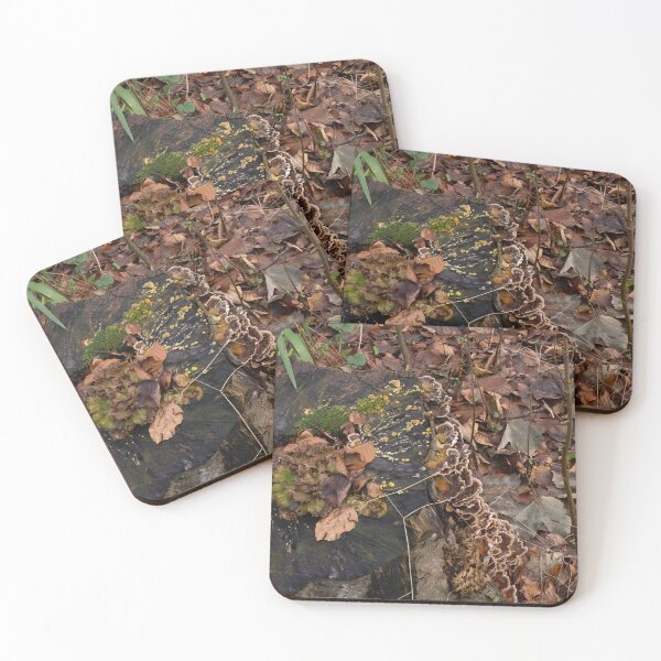 Item preview, Fungi, Moss and Mould on tree stump. designed and sold by Sue Robinson.