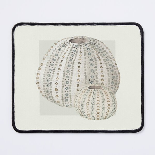 Item preview, Urchins in neutral designed and sold by LisaLeQuelenec.