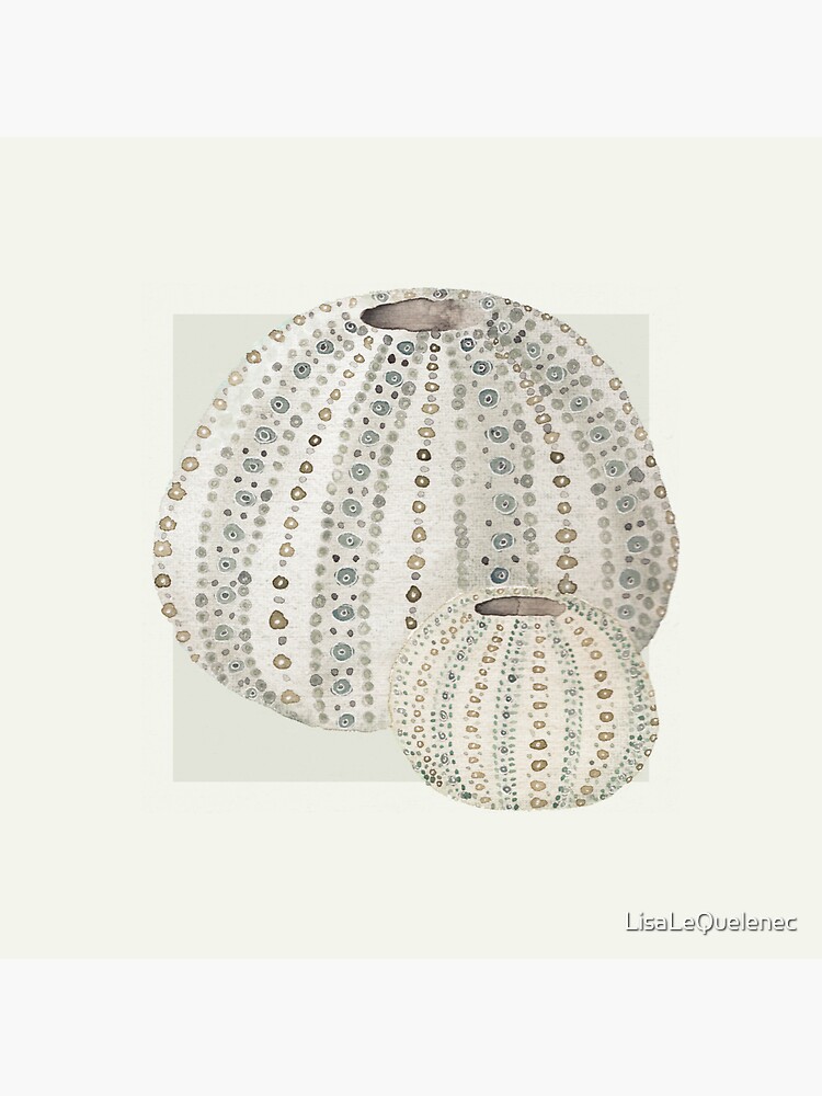 Thumbnail 3 of 3, Sticker, Urchins in neutral designed and sold by LisaLeQuelenec.