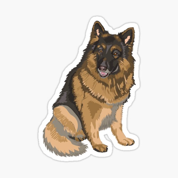"beautiful furry belgian shepherd with tongue out" Sticker for Sale by ...