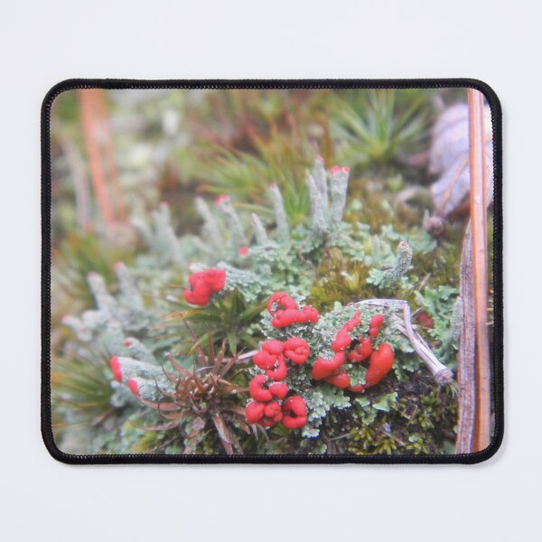 Item preview, Flowers in the Moss designed and sold by BethyBeeHerbs.