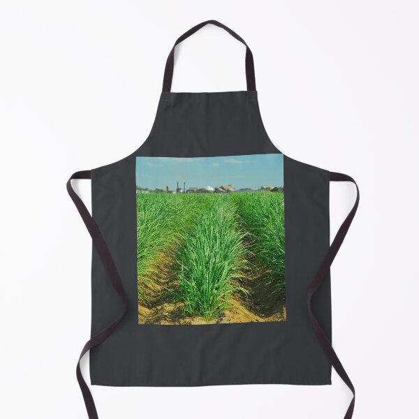 Item preview, Bundy Sugar Cane designed and sold by Funnylovely.