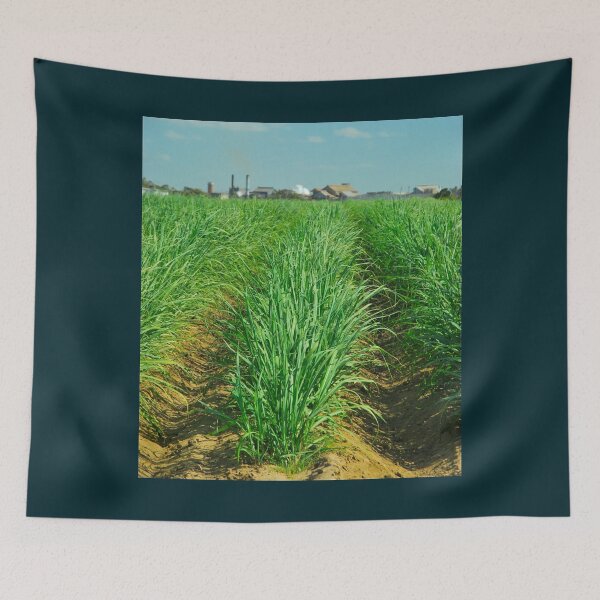 Item preview, Bundy Sugar Cane  designed and sold by Funnylovely.