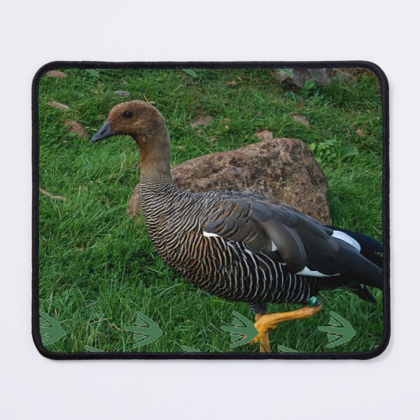 Item preview, Upland Goose designed and sold by Nicole Gath.