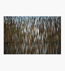 What is it? Solved by Yolle Suwhanli Photographic Print
